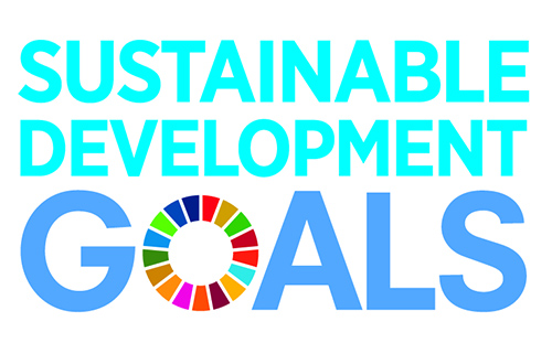 Logo Sustainable Development Goals